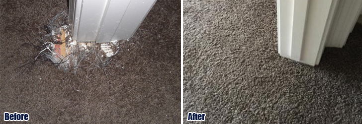 How to Repair Pet-Related Damage to Carpet